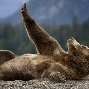 Meet your Posher, Rae